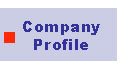 Marketing Company Profile